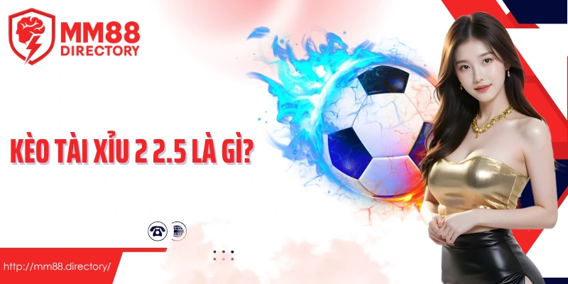 Kèo tài xỉu 2 2.5 là gì? Hướng dẫn cách hiểu dễ nhất cho người mới
